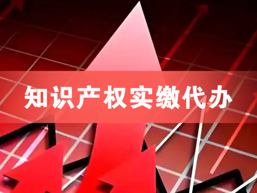 东营知识产权实缴资本代办